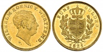 Wilhelm I., 1816-1864. 5 Gulden 1825. 3,34 g. Divo/S. 229; Fb. 3613; Schl. 916.
